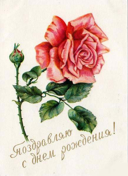 Николай Головатый | Rio de Janeiro