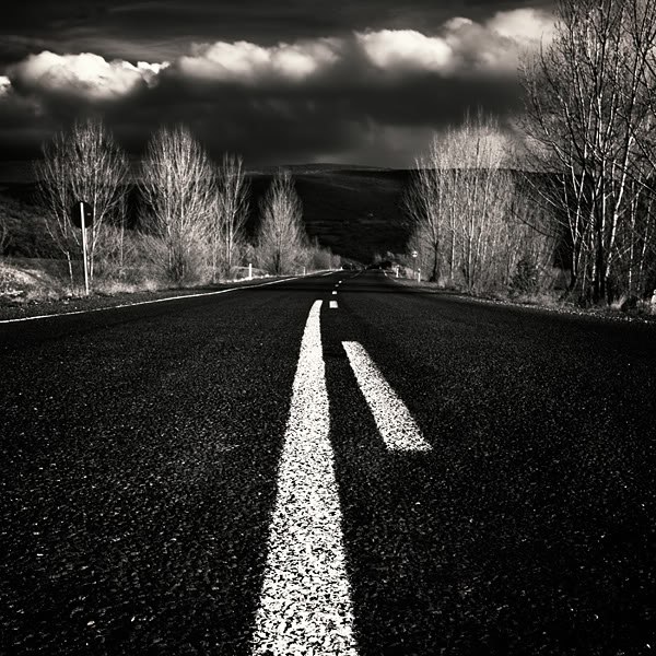 Елена Николаева | Жлобин