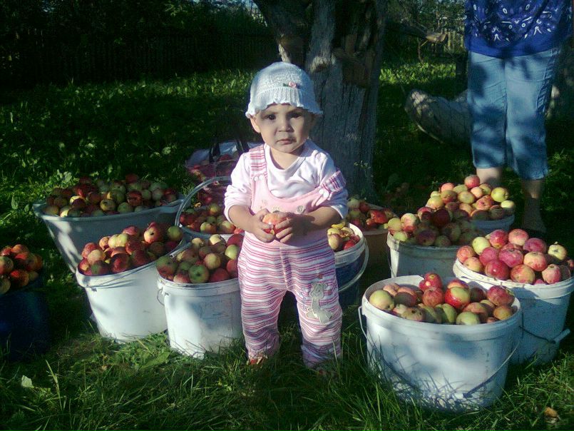 №12, Людмила Никитина, Советский №12, Людмила Никитина, Советский