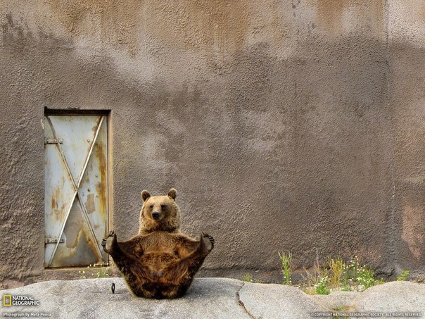 Женя Евтушенко | Вышгород