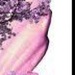 Маргарита Бутавко фотография #26