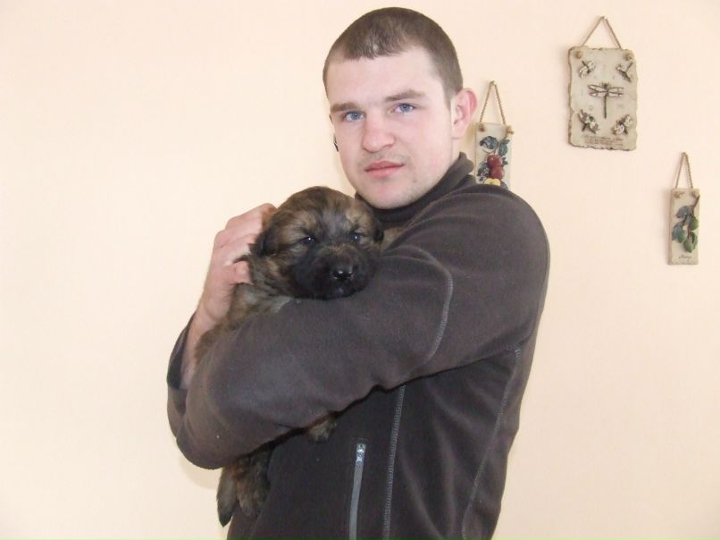 Devitto Anderson | Винница