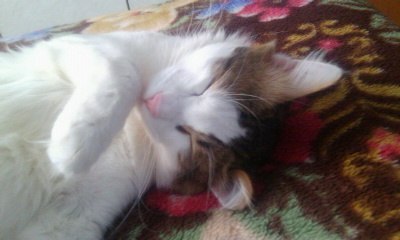 Светлана Мирошник | Казань