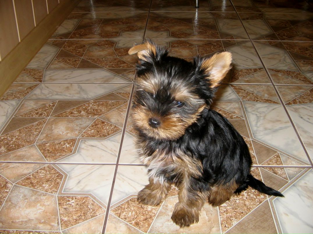 Юрий Отрубин | Санкт-Петербург