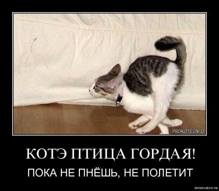 №61, Юрий Чернявский, 40 лет №61, Юрий Чернявский, 40 лет