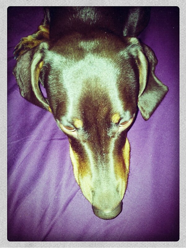 Наталия Ахметчанова | Москва