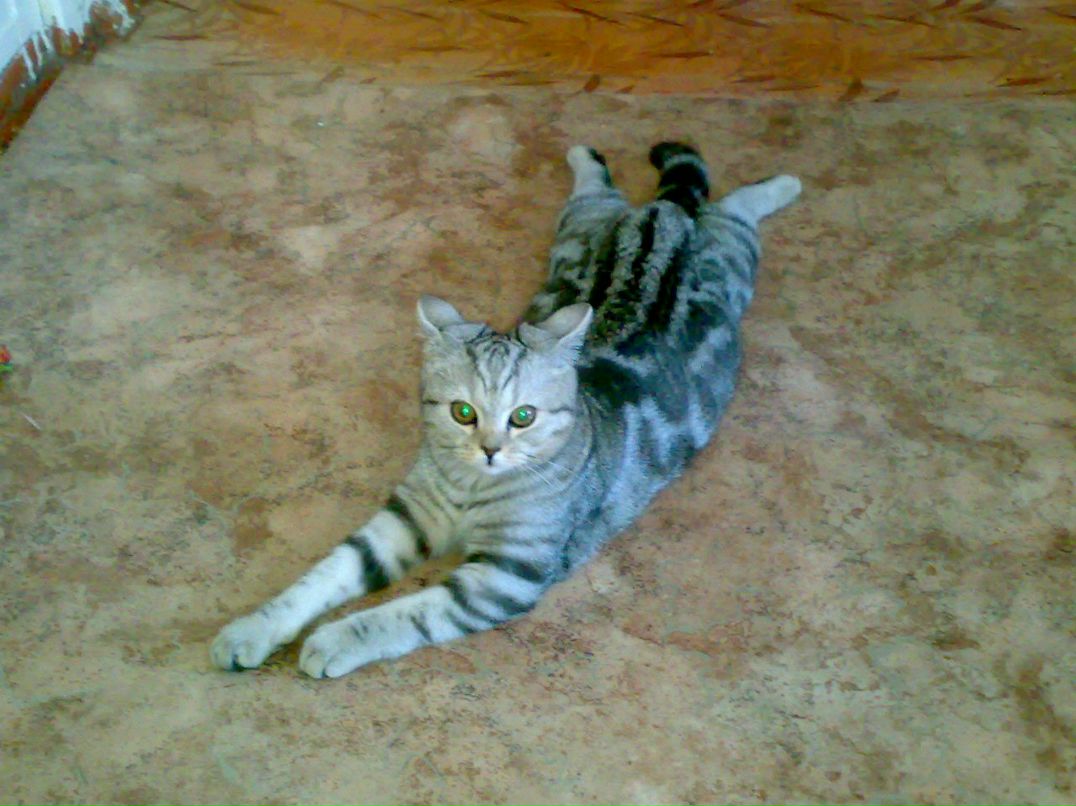 Иван Бузмаков | Кемерово