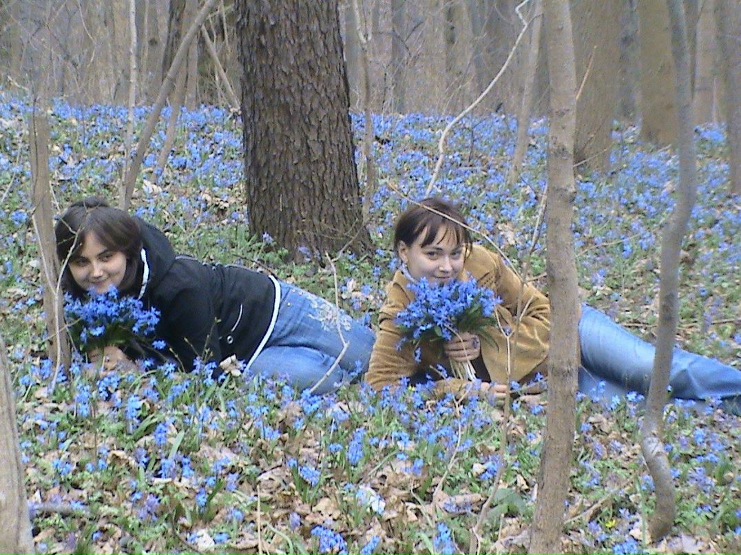 Василий Баглык | Тростянец