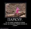 Фотография Вячеслав Паркин