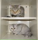 Фотография Марина Павлюк