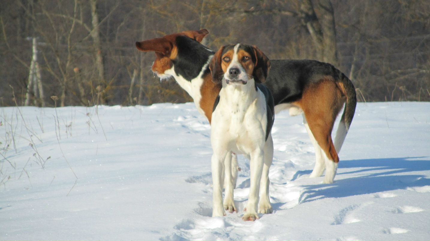 Алексей Кузнецов | Обнинск