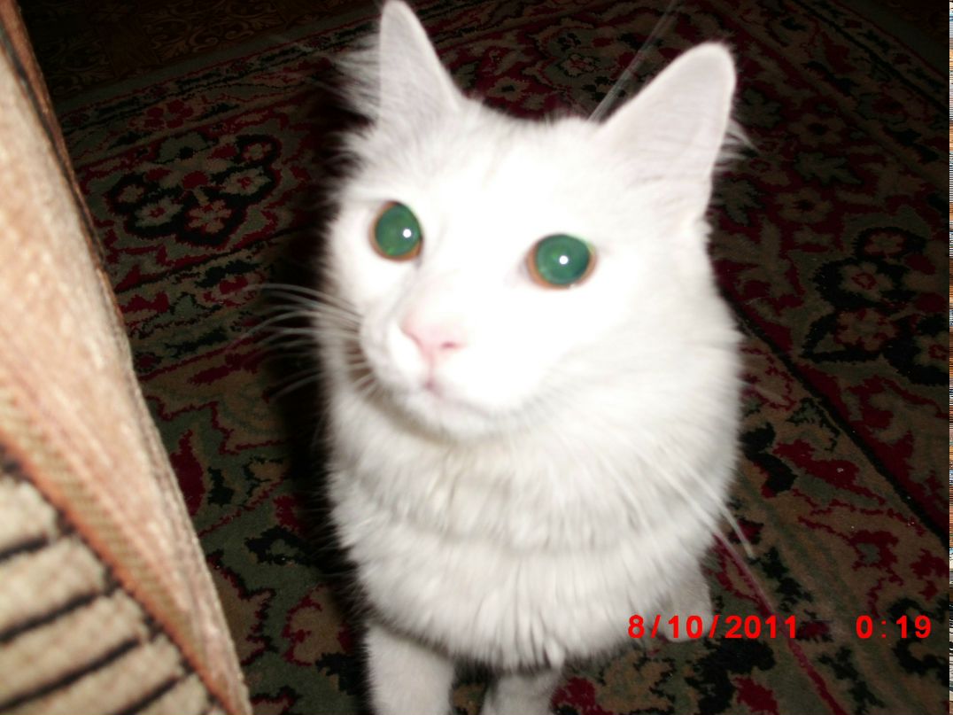 Ирина Маленкова | Новокузнецк