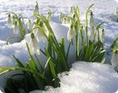Фотография Мурзахановой Лилии