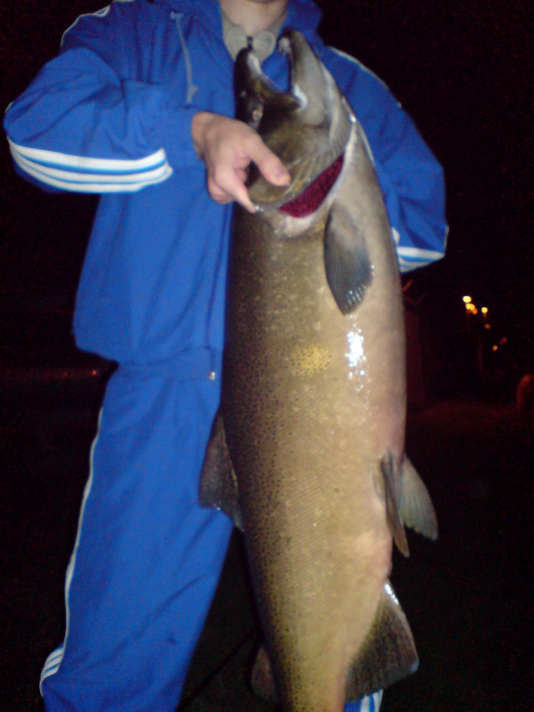 Сергей Сидоренко | Toronto