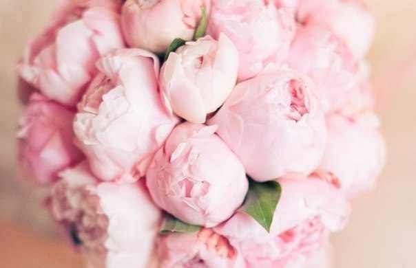 №6, Мария Плиева, 35 лет, Киев №6, Мария Плиева, 35 лет, Киев