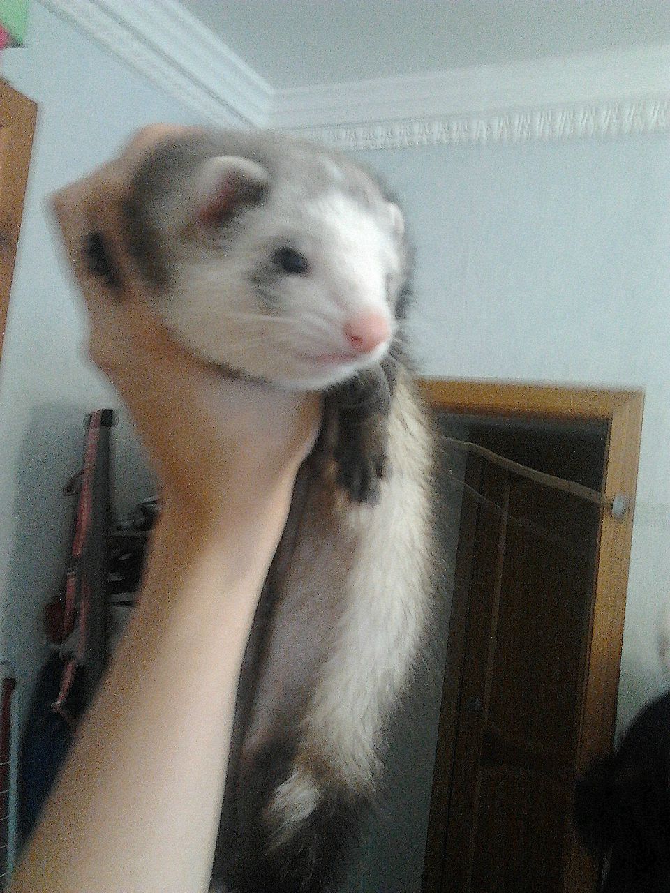 Ксения Мозжухина | Люберцы