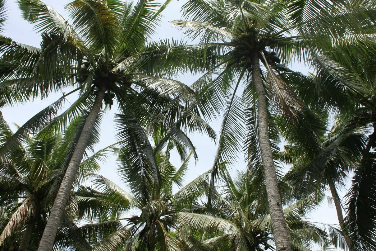 Наталия Stronger | Киев