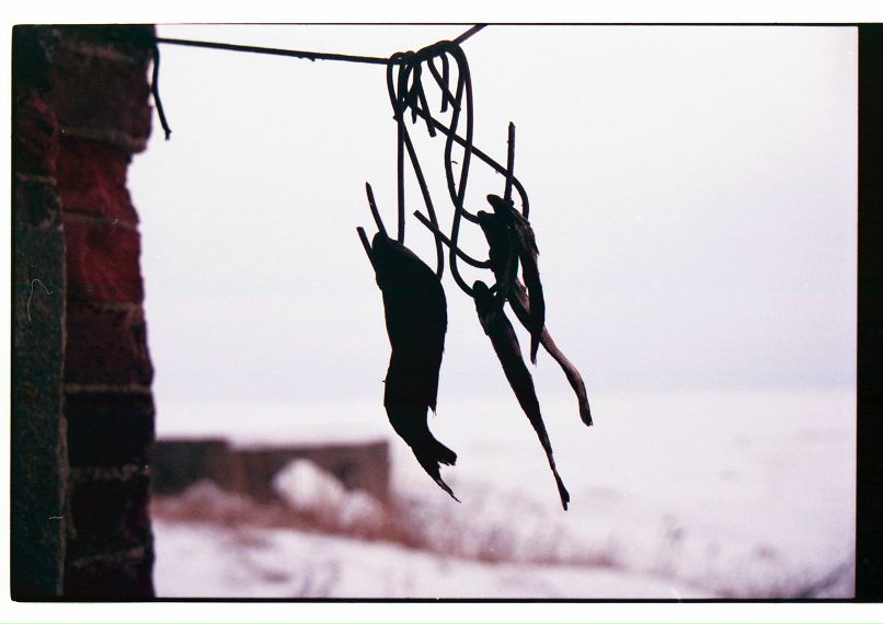 Евгений Михайлов | Санкт-Петербург