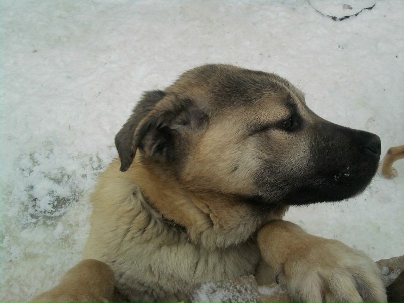 Марсель Бакиров | Казань