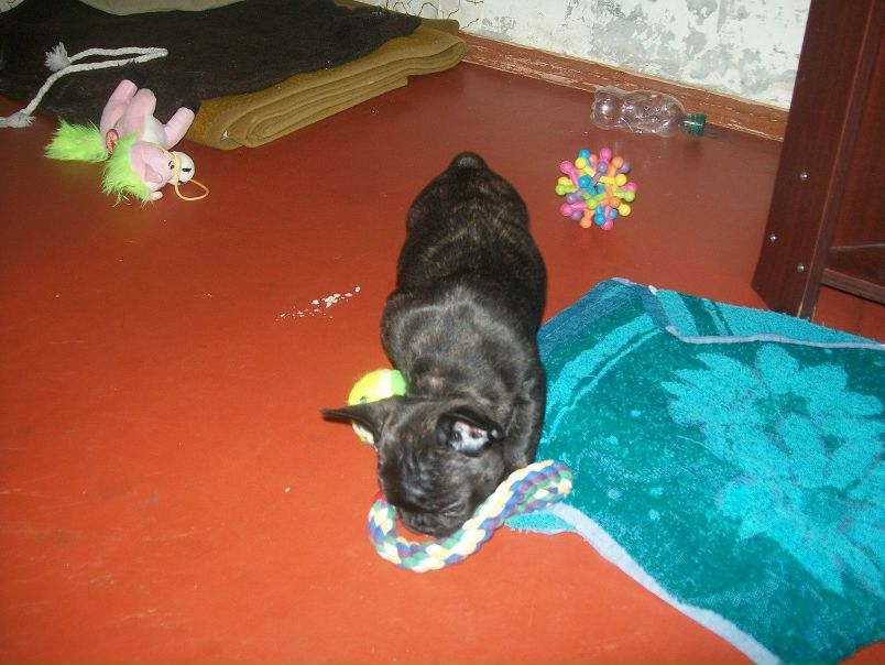 №5, Михаил Прохоров, 46 лет, Харьков №5, Михаил Прохоров, 46 лет, Харьков