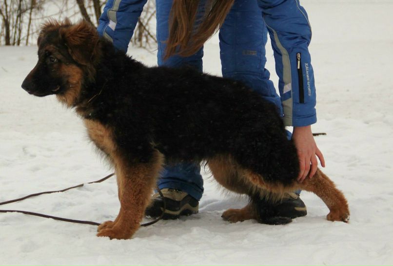 Вика Петлина | Москва