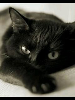 Настюшка Белоконь фото профиля #4