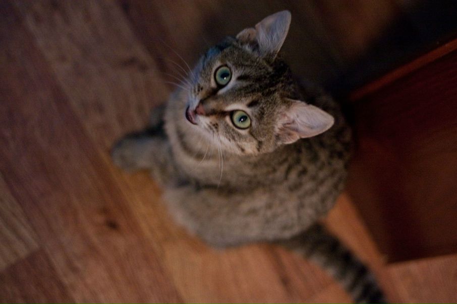 №148, Александра Солнечная, 34 года, Абакан №148, Александра Солнечная, 34 года, Абакан