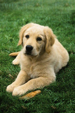 Михаил Иванов Викторович | Новотроицк