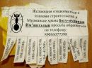 №14 Екатерина Чашникова 22.01.1992: профиль, фото, статус - ВКонтакте