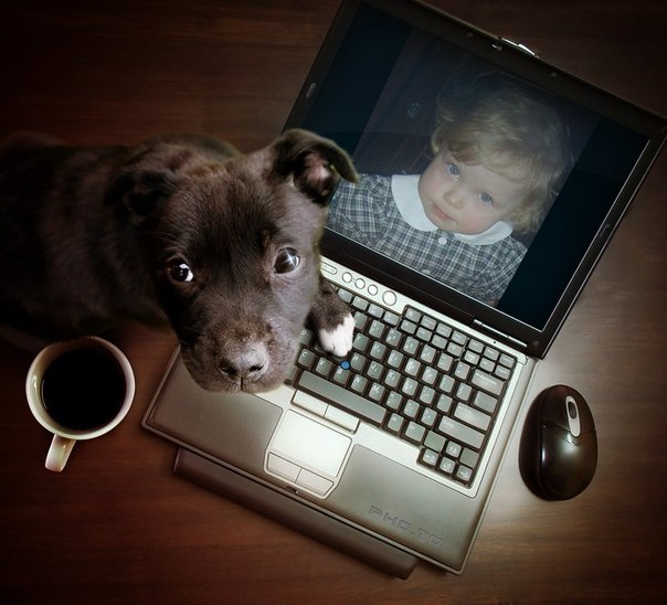 Ольга Кардашина | Екатеринбург