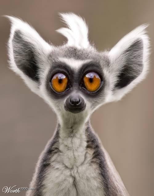 Андрей Мазанько | Гомель