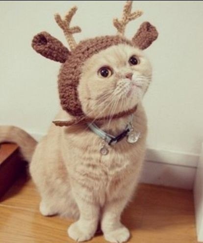 Дмитрий Александров | Санкт-Петербург