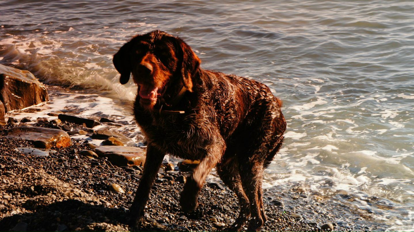 Рустам Шарафутдинов | Новороссийск