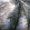 Аватар: Zfbv Zxcbbb
