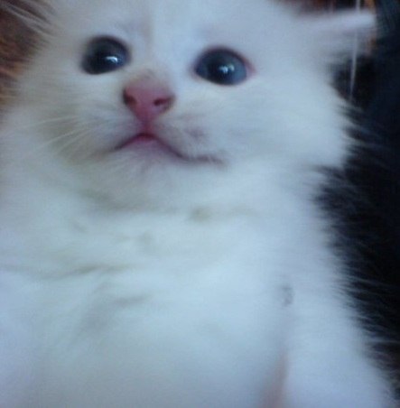 Ира Саникович | Минск