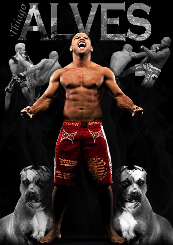 Арсений Прохоров Pit Bull | Fortaleza