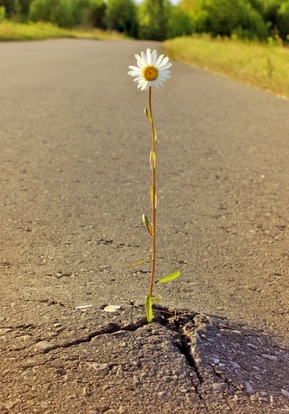 №26, Танюша Яковлева, Каменец-Подольский №26, Танюша Яковлева, Каменец-Подольский