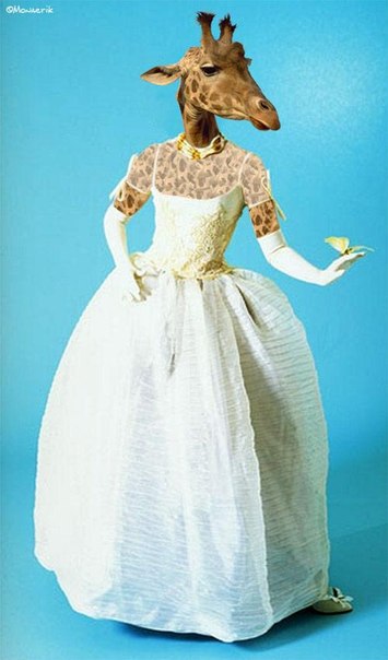 №132, Маргарита Лужкова, 35 лет, Санкт-Петербург, Россия №132, Маргарита Лужкова, 35 лет, Санкт-Петербург, Россия