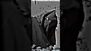 aja mujhe leja Teri Dulhan banake #viral #entertainment #youtubeshorts #4kstatus #shorts