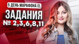 РАЗБОР ЗАДАНИЙ №2,3,6,8,11 ОГЭ ПО РУССКОМУ 2024 || МАРАФОН ПОДГОТОВКИ К ОГЭ ДЕНЬ 5 || Настя Русичка