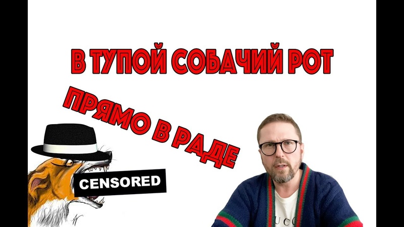 Прямо в Раде в тупой собачий