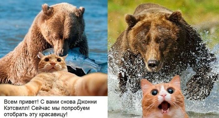 Кирилл Кучеренко | Каменское / Днепродзержинск