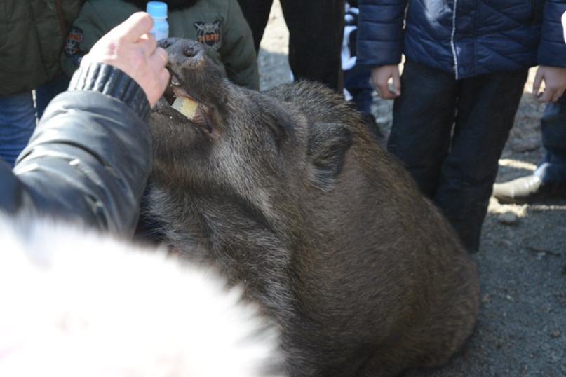 Александр Фёдоров | Заречье (рабочий поселок)