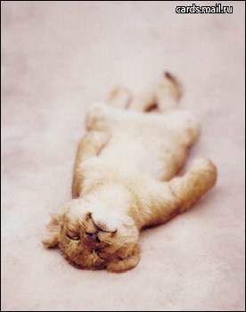 Алёна Киселёва | Киев