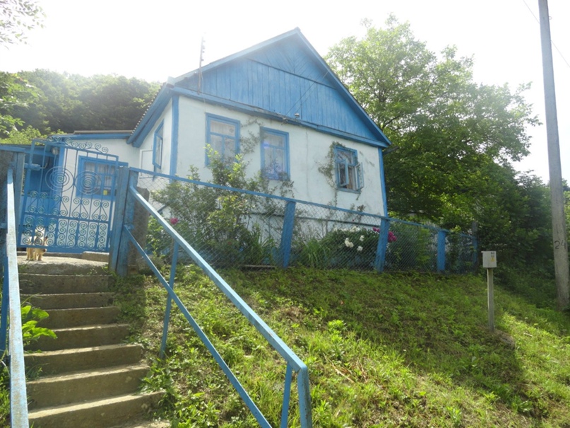 Наталья Огородникова | Санкт-Петербург