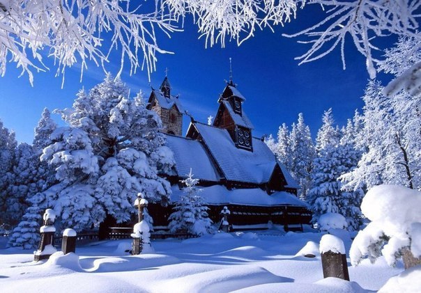 Света Киселёва | Екатеринбург