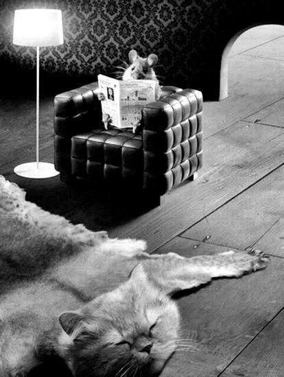 Анна Браун | Санкт-Петербург