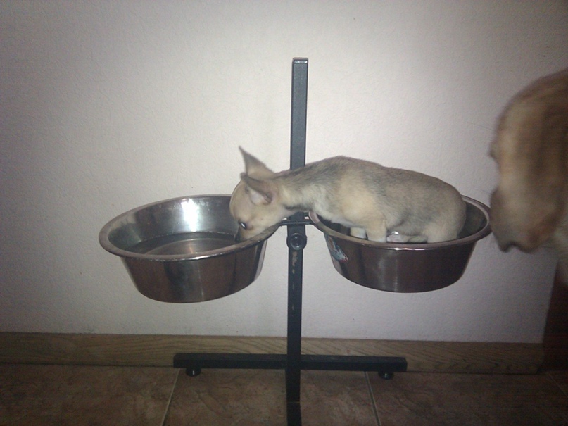 Юля Степанова | Донецк