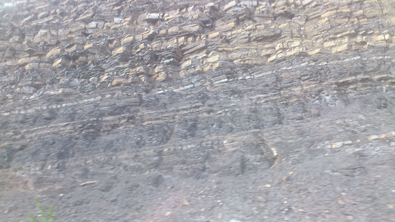 Елена Петрова | Салават