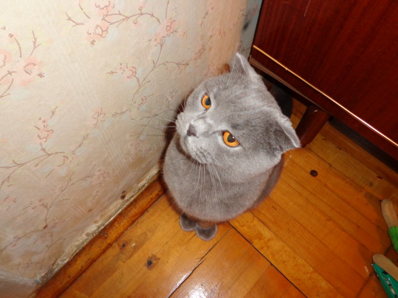 Влад Гущин | Санкт-Петербург